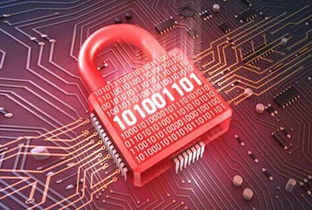 天啦噜！5亿用户隐私数据泄漏事件敲响警钟，网络与信息安全软件开发何去何从？